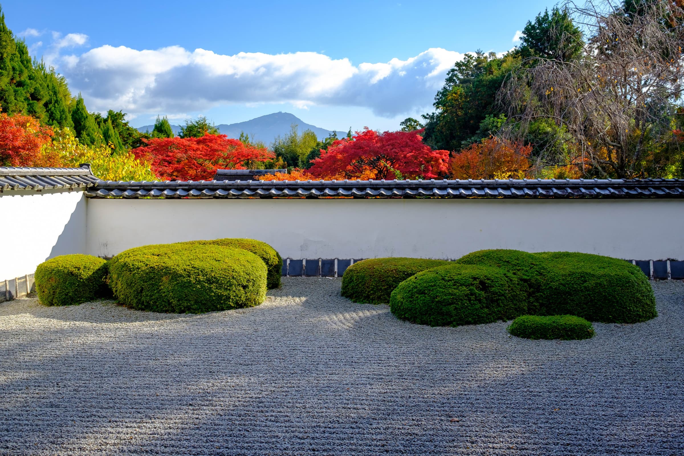 kyoto DSCF9545