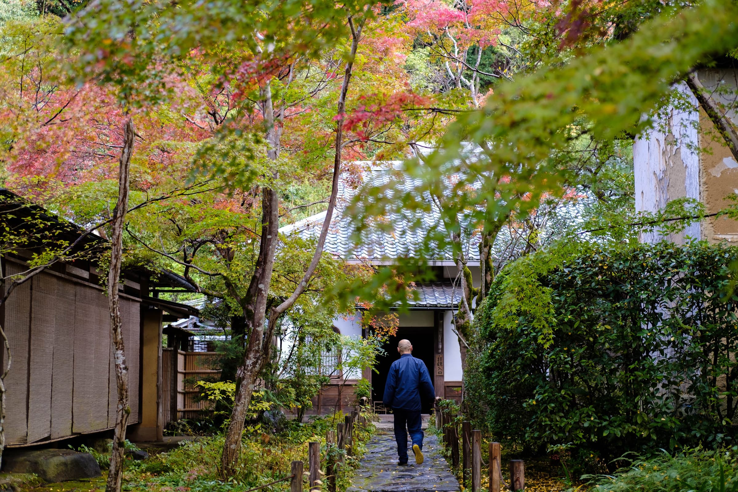 kyoto 蓮華寺