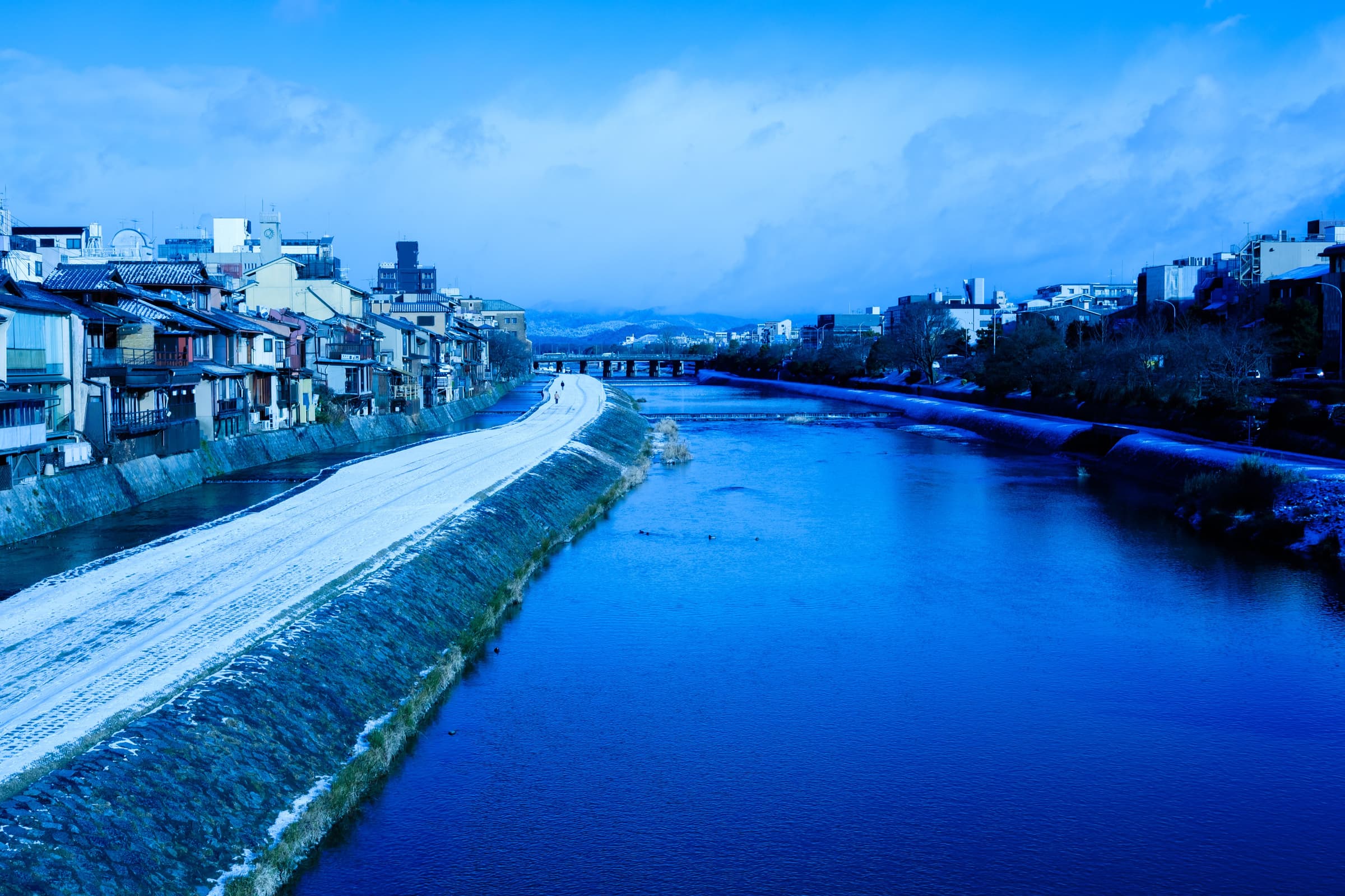 kyoto 鴨川 一月