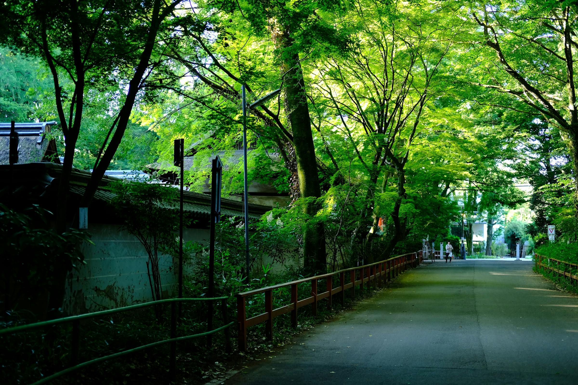 kyoto 下鴨神社 脇道
