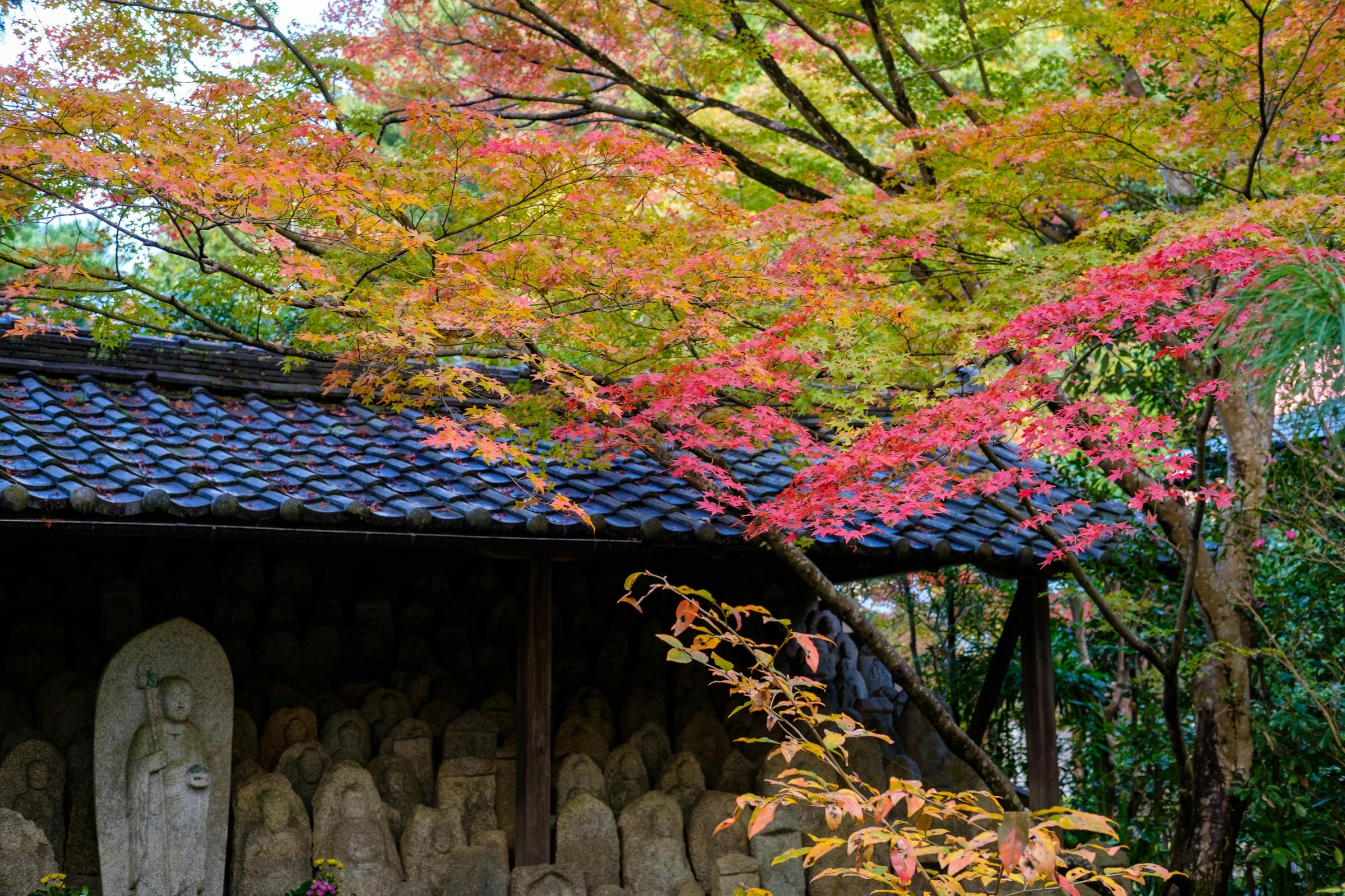 kyoto 蓮華寺 地蔵